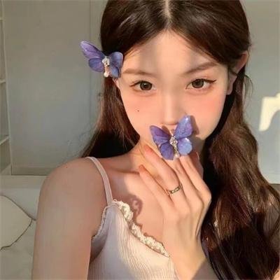 妙手小贼王 封面